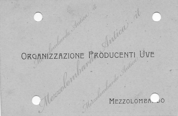 mezzolombardocomm66.jpg