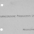 mezzolombardocomm66.jpg