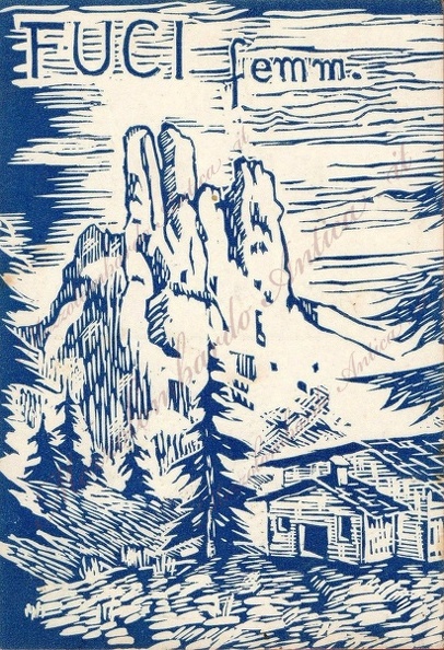 img736.jpg