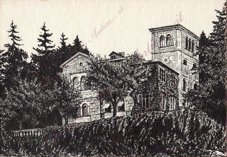 img397.jpg