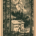 img535.jpg