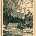 img536.jpg