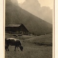 nanni gadenz san martino di castrozza 18.jpg