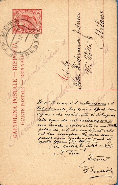giacomobresadola36a.jpg