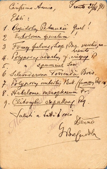 giacomobresadola47.jpg