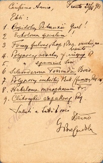 giacomobresadola47.jpg