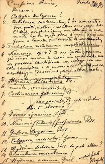 giacomobresadola48.jpg