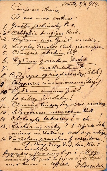 giacomobresadola54.jpg