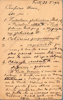 giacomobresadola55.jpg