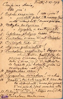 giacomobresadola56.jpg