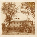 oddonetomasi46.jpg