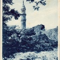 img160.jpg