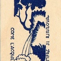 img210.jpg