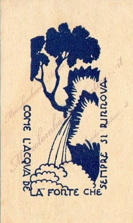 img210.jpg