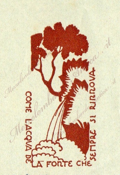 img210a.jpg
