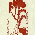 img210a.jpg