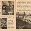 img221g.jpg