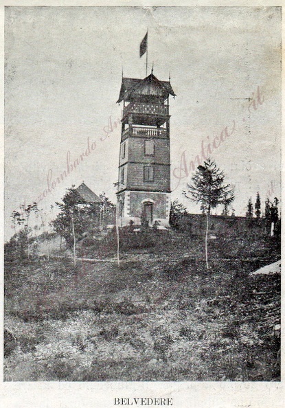 img46.jpg