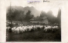 Sella Valsugana - 1927
Cascina Brentel - Sella
Cartolina fotografica senza dubbio opera di don Cesare Refatti img114.jpg