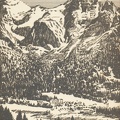 img447
